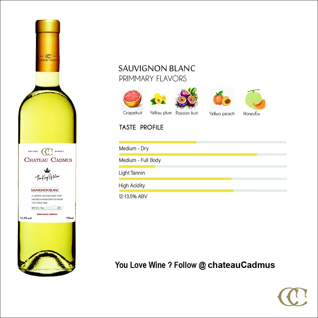Château Cadmus Sauvignon Blanc — Limited Batch 1200 L | Vintage 2022 - Image 2
