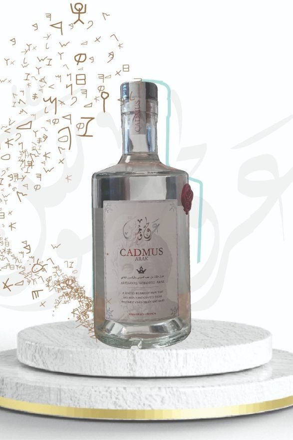 WhatsApp Image 2025-11-02 at 12.58.38