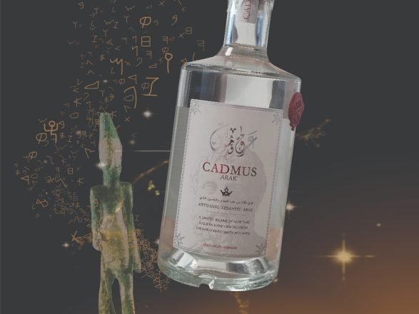 WhatsApp Image 2025-11-02 at 13.03.59